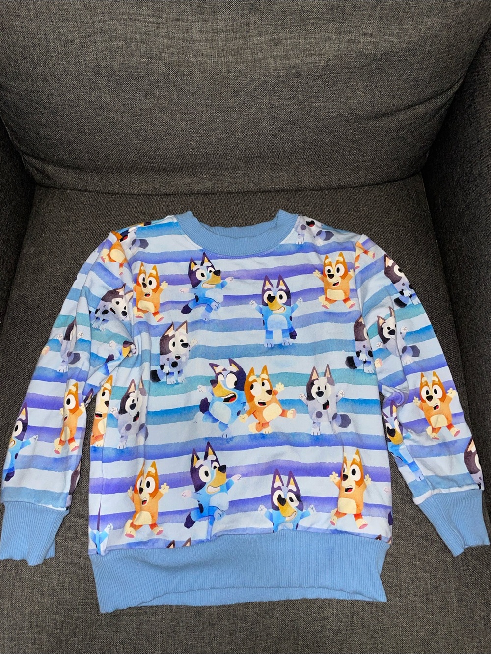Little Sleepies Bluey Sweatshirt